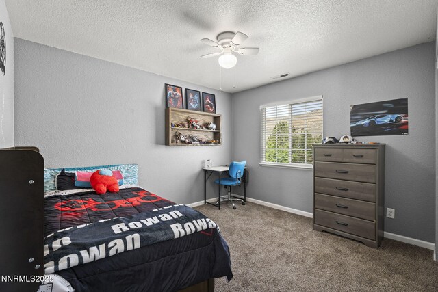 18204 Cedar View Dr, Reno, NV 89508 - photo 22