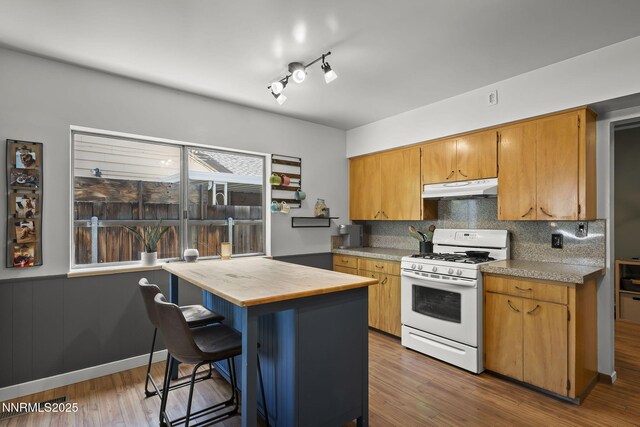 337 Fodrin Way, Sparks, NV 89431 - photo 9