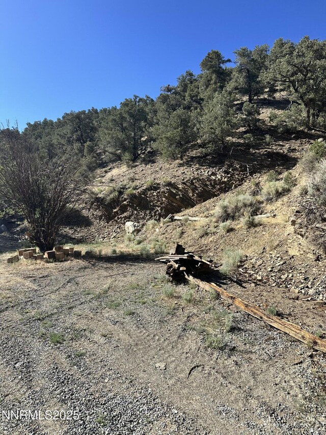27 W Main St, Manhattan, NV 89022 - photo 29