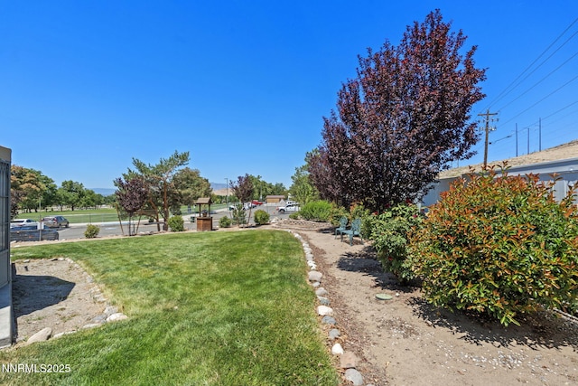3555 Vista Blvd, Sparks, NV 89436 - view of green lawn