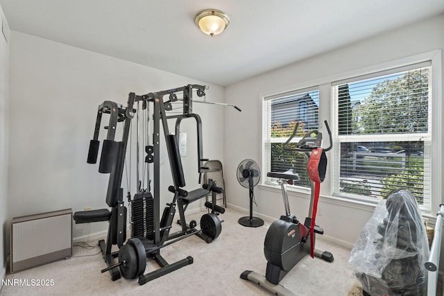 3555 Vista Blvd, Sparks, NV 89436 - workout area with baseboards and carpet flooring