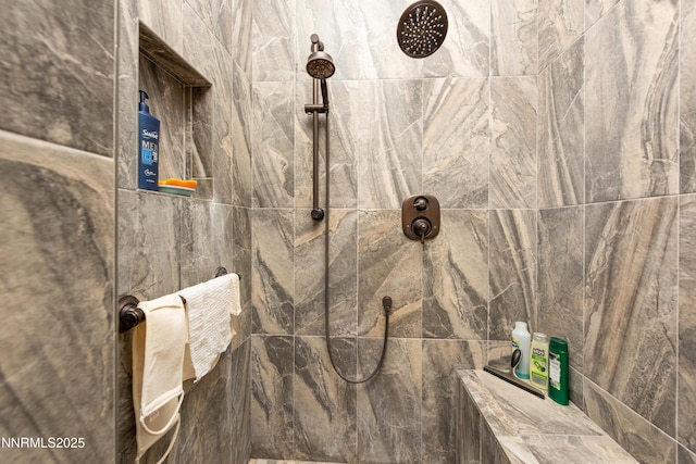 2092 Canterbury Ln, Carson City, NV 89703 - bathroom view of tiled shower