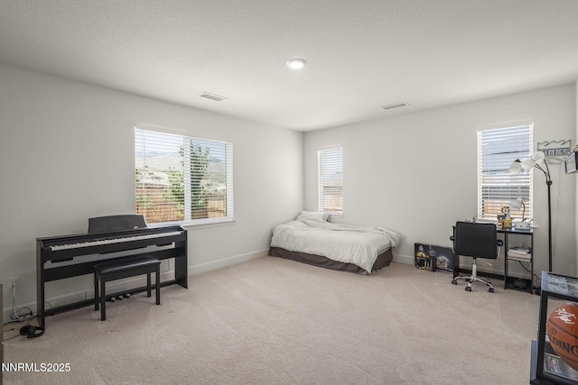6496 Arc Dome Dr, Carson City, NV 89701 - bedroom with multiple windows, carpet, and an office area