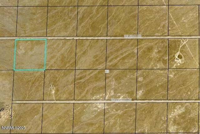 08068202 Belgian Dr, Golconda, NV 89414 - photo 2
