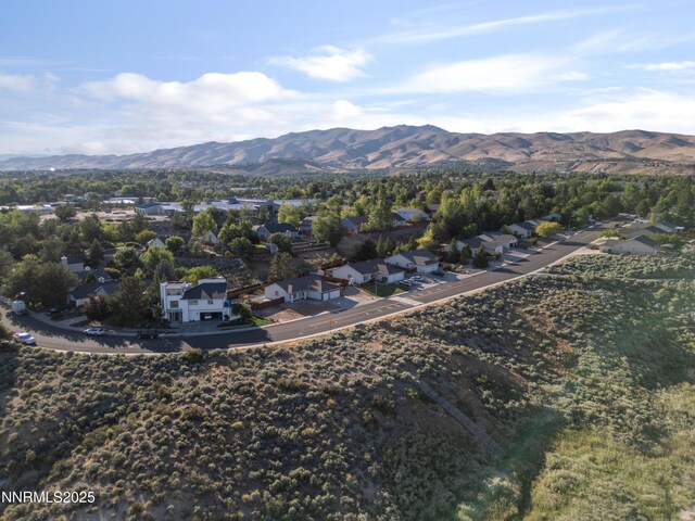 1429 Lindsay Dr, Reno, NV 89523 - photo 3