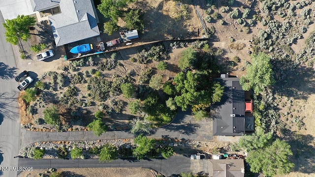 80 Bobcat Dr, Reno, NV 89523 - aerial view of property's location
