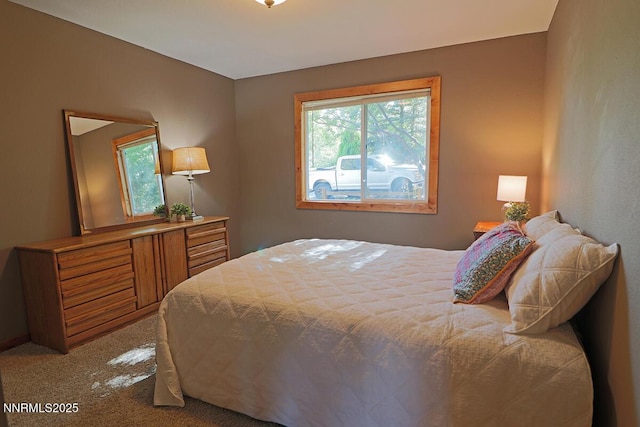 80 Bobcat Dr, Reno, NV 89523 - view of carpeted bedroom