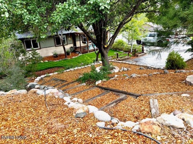80 Bobcat Dr, Reno, NV 89523 - view of yard