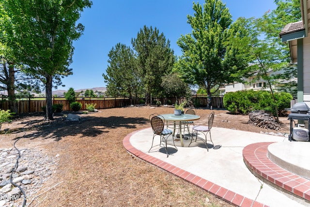 6993 Cinnamon Dr, Sparks, NV 89436 - fenced backyard featuring a patio