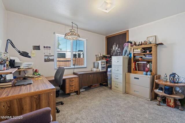 5886 Wishbone Ct, Sun Valley, NV 89433 - office with light colored carpet