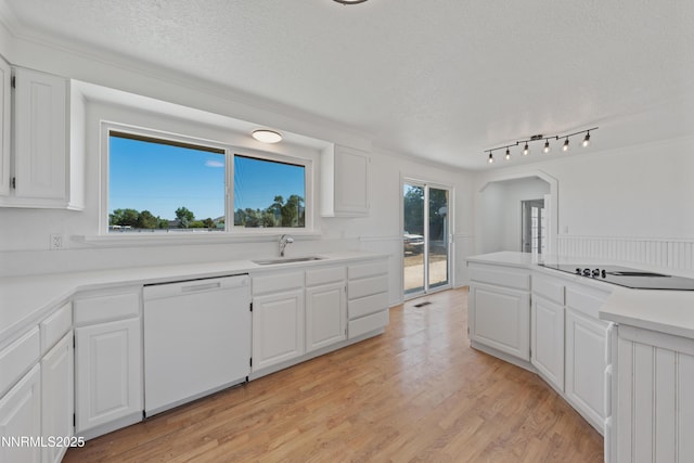 1314 Johnson Ln, Minden, NV 89423 - kitchen with white dishwasher, black electric cooktop, a textured ceiling, white cabinetry, and light wood finished floors