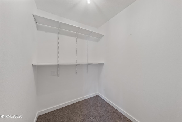 1314 Johnson Ln, Minden, NV 89423 - spacious closet featuring dark colored carpet