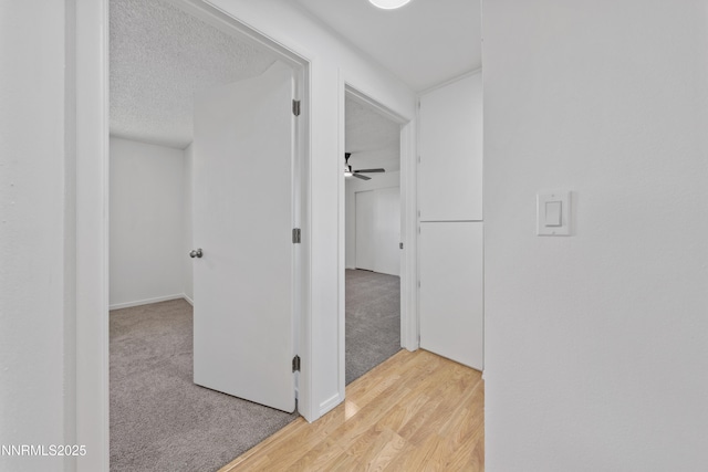 1314 Johnson Ln, Minden, NV 89423 - hallway with light wood finished floors and light carpet