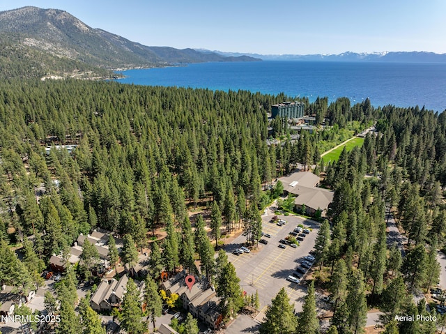 989 Tahoe Blvd Unit 71, Incline Village, NV 89451 - bird's eye view of a heavily wooded area and a water and mountain view