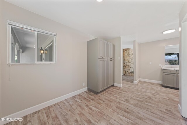 1513 S Riverview Dr, Gardnerville, NV 89460 - unfurnished room with light wood-type flooring and baseboards