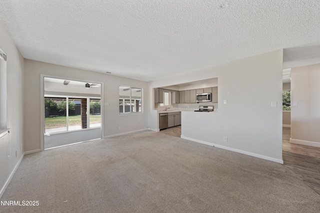 1513 S Riverview Dr, Gardnerville, NV 89460 - unfurnished living room with a textured ceiling, light colored carpet, healthy amount of natural light, and a ceiling fan