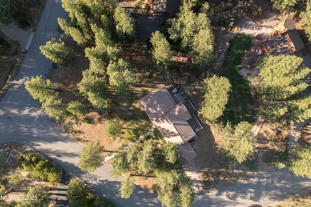 25 Yellow Pine Cir, Reno, NV 89511 - aerial view of property and surrounding area