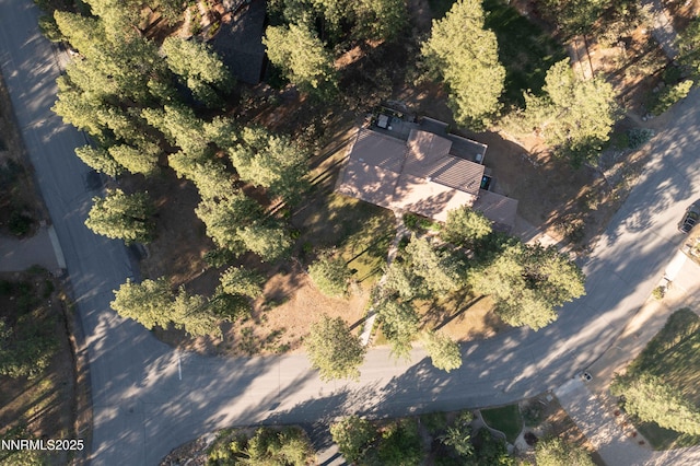 25 Yellow Pine Cir, Reno, NV 89511 - view of property location