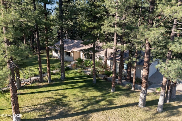 25 Yellow Pine Cir, Reno, NV 89511 - view of green lawn