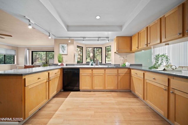 25 Yellow Pine Cir, Reno, NV 89511 - kitchen with black dishwasher, track lighting, light wood finished floors, a peninsula, and plenty of natural light