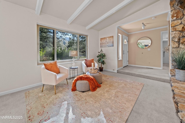 25 Yellow Pine Cir, Reno, NV 89511 - living area with carpet and baseboards