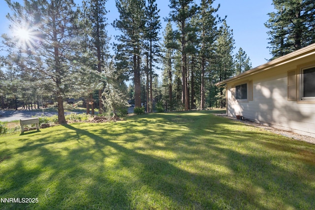 25 Yellow Pine Cir, Reno, NV 89511 - view of grassy yard