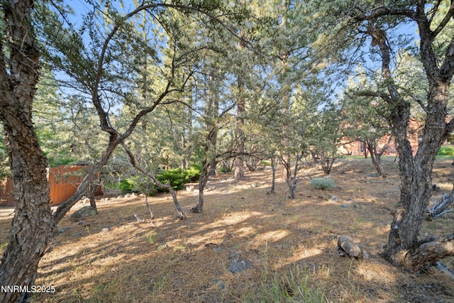25 Yellow Pine Cir, Reno, NV 89511 - view of yard