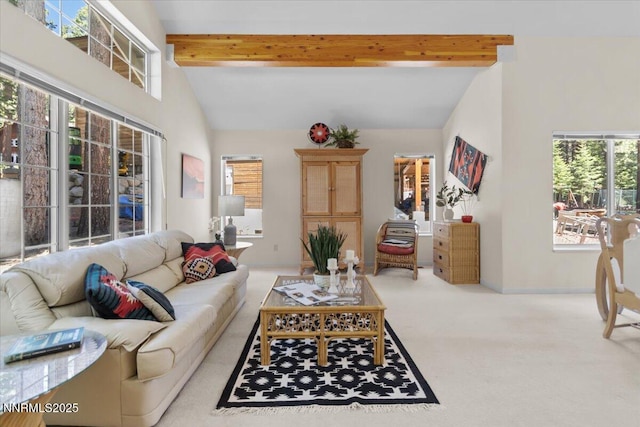 917 Jennifer St, Incline Village, NV 89451 - carpeted living area featuring baseboards