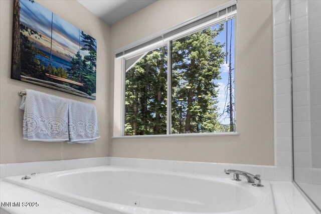 917 Jennifer St, Incline Village, NV 89451 - bathroom featuring healthy amount of natural light and a bath