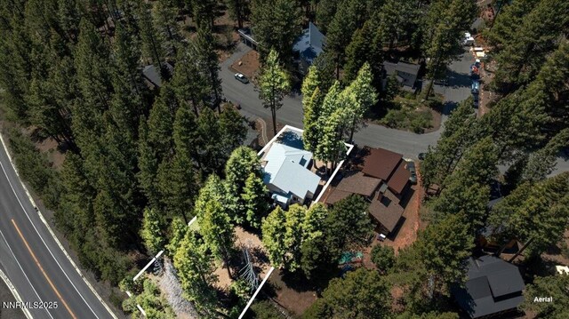917 Jennifer St, Incline Village, NV 89451 - aerial view of property's location