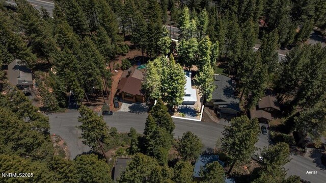 917 Jennifer St, Incline Village, NV 89451 - view of property location