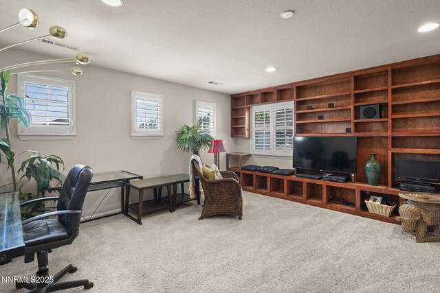 3030 Blue Grouse Dr, Reno, NV 89509 - photo 19