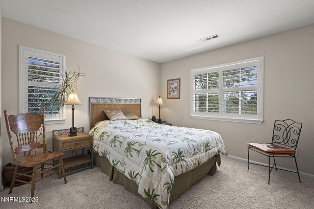 3030 Blue Grouse Dr, Reno, NV 89509 - photo 21