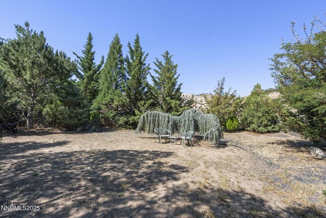 3030 Blue Grouse Dr, Reno, NV 89509 - photo 27
