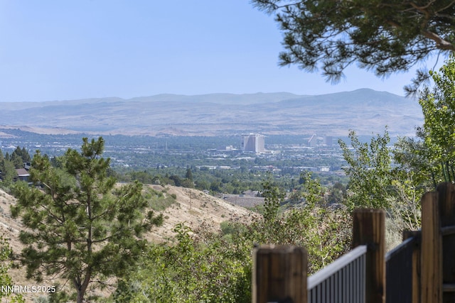 3030 Blue Grouse Dr, Reno, NV 89509 - photo 30