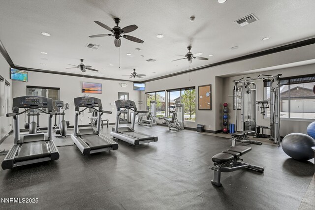 10035 Ellis Park Ln, Reno, NV 89521 - photo 43