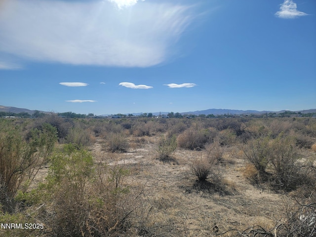 3690 S Hwy 95a, Silver Springs, NV 89429