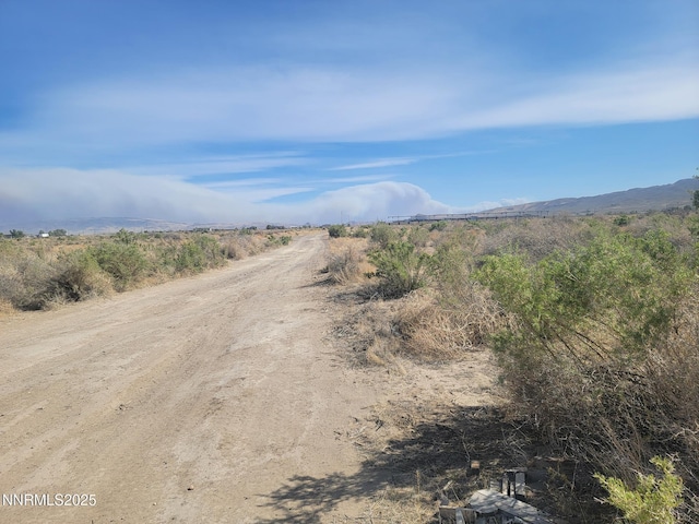 3690 S Hwy 95a, Silver Springs, NV 89429
