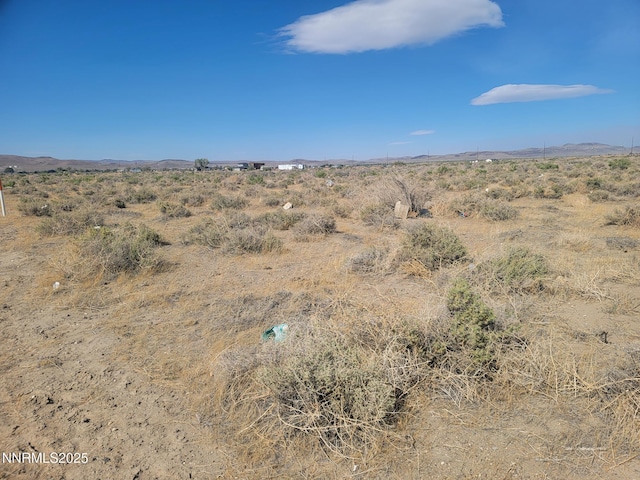 3690 S Hwy 95a, Silver Springs, NV 89429