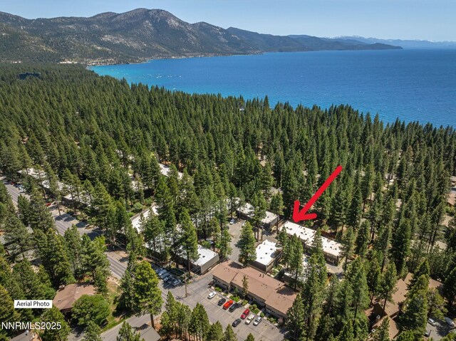 825 Southwood Blvd Unit 18, Incline Village, NV 89451 - photo 24