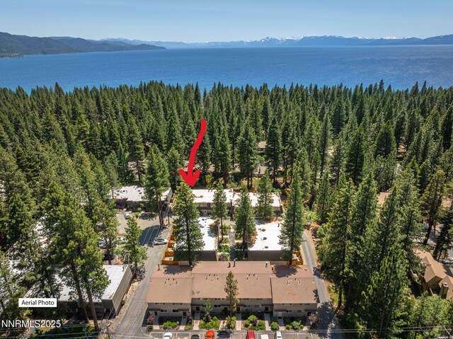 825 Southwood Blvd Unit 18, Incline Village, NV 89451 - photo 26
