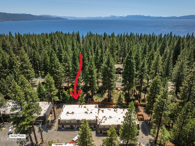 825 Southwood Blvd Unit 18, Incline Village, NV 89451 - photo 25