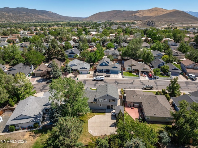 4112 Spring Dr, Carson City, NV 89701 - photo 27