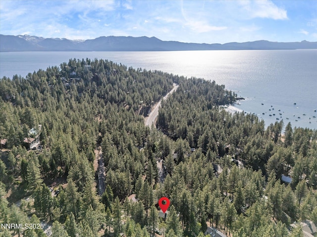 699 Lakeview Dr, Zephyr Cove, NV 89448 - bird's eye view of a forest and a water and mountain view