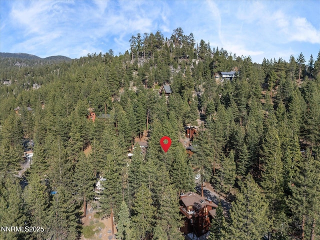 699 Lakeview Dr, Zephyr Cove, NV 89448 - view of property location featuring a forest