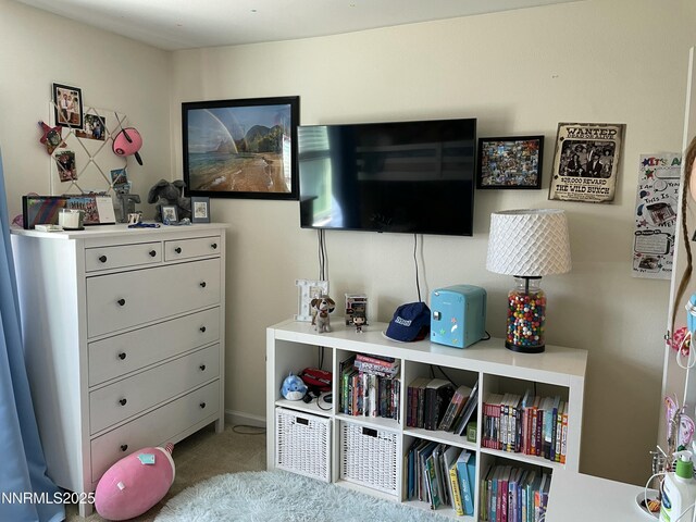 1319 E Marion Russell Dr, Gardnerville, NV 89410 - photo 24