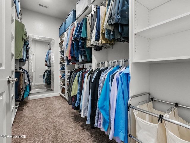 1486 Lambrays Ct, Sparks, NV 89436 - walk in closet with carpet