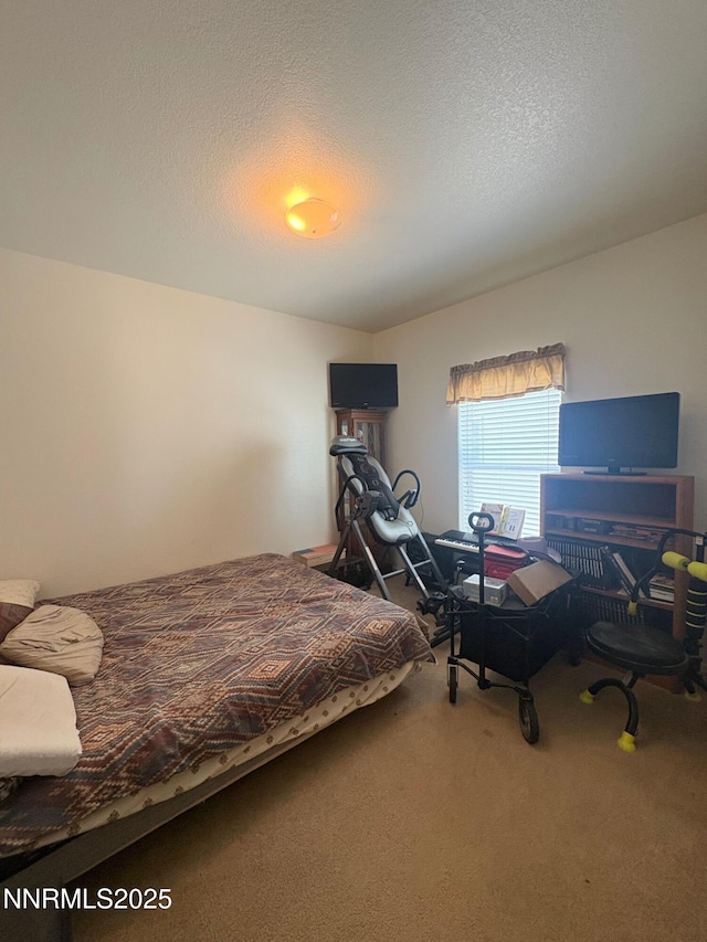 7075 Lazy P Ct, Winnemucca, NV 89445 - photo 18