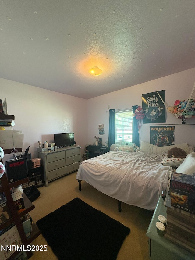 7075 Lazy P Ct, Winnemucca, NV 89445 - photo 19