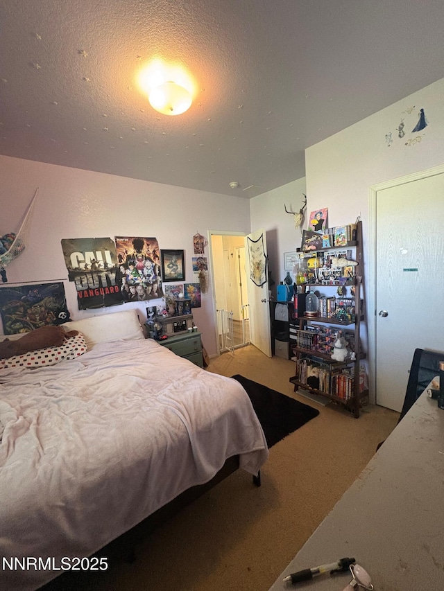7075 Lazy P Ct, Winnemucca, NV 89445 - photo 20